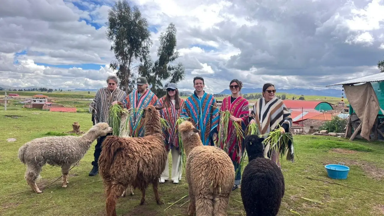 Our guests interacting with alpacas at Awanacancha Cusco